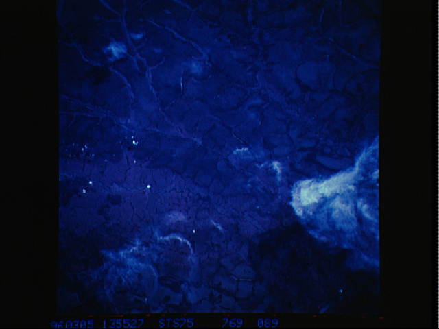 Image display