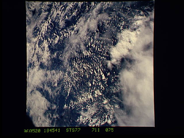 Image display