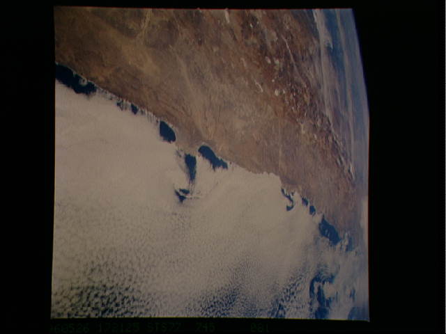 Image display