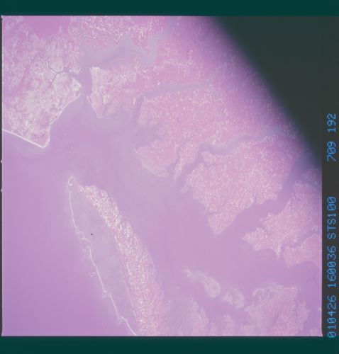 Image display