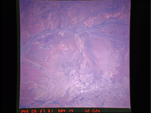Image display
