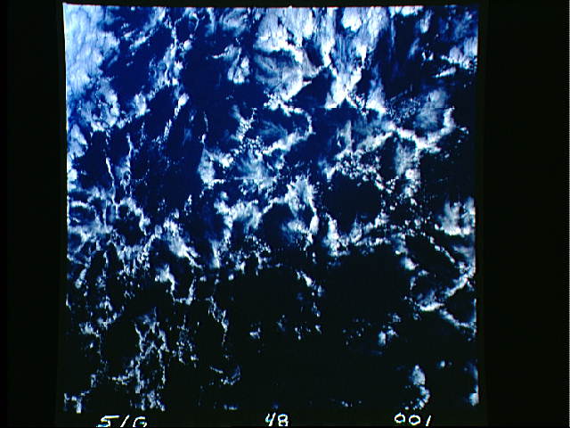 Image display