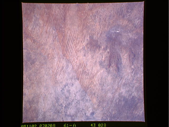 Image display