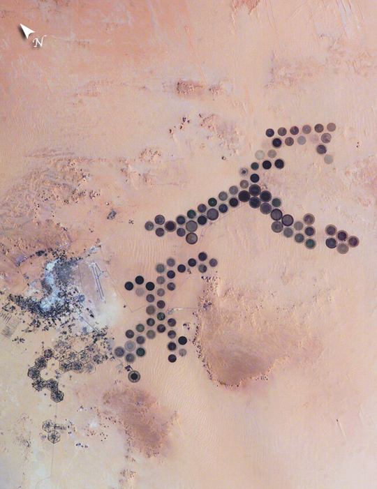 Photo: ISS010-E-5266