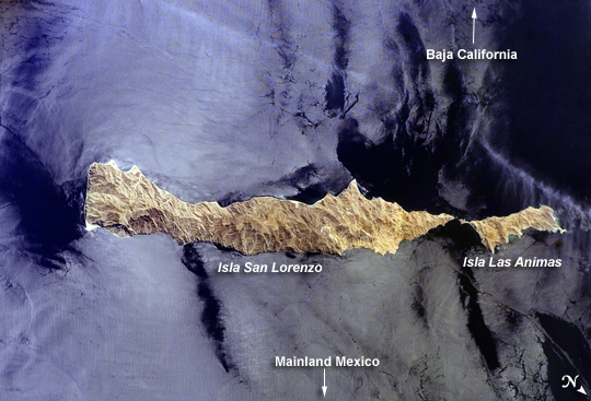 Photo: ISS015-E-7928