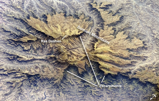 Photo: ISS016-E-10784