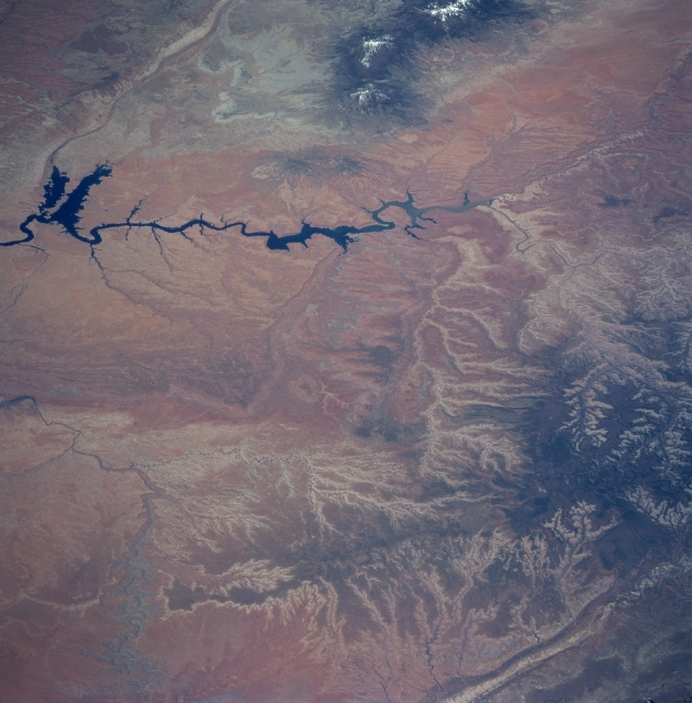 Photo: STS090-751-10