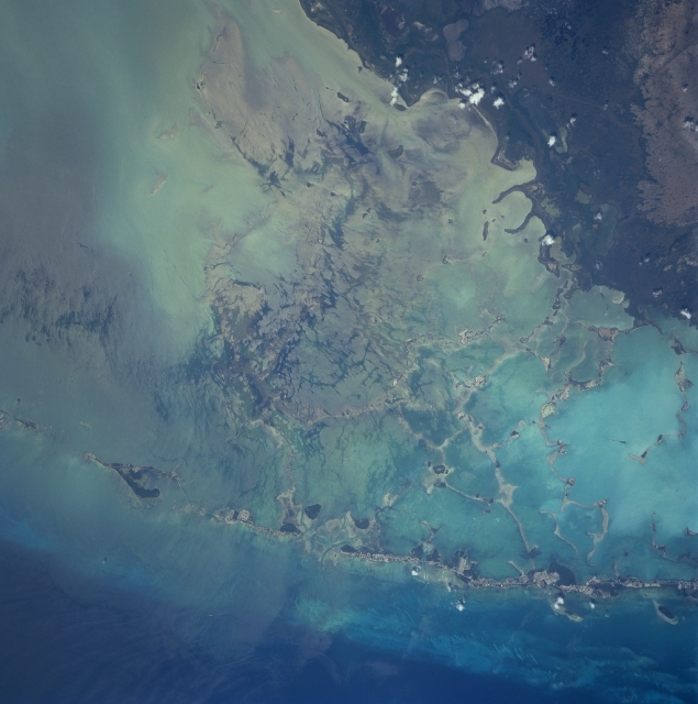 Photo: STS090-751-59