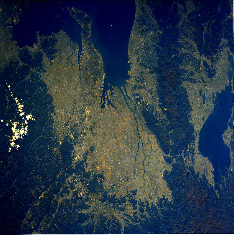 Image display