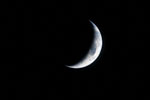 thumbnail image of ART002-E-10412