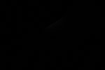 thumbnail image of ART002-E-10805