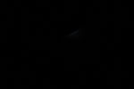 thumbnail image of ART002-E-10983