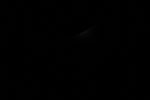 thumbnail image of ART002-E-10993