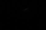 thumbnail image of ART002-E-11003
