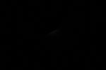thumbnail image of ART002-E-11023