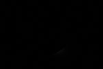 thumbnail image of ART002-E-11028