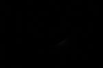 thumbnail image of ART002-E-11033