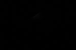 thumbnail image of ART002-E-11078