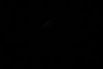 thumbnail image of ART002-E-11093