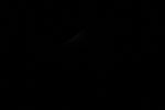 thumbnail image of ART002-E-11098