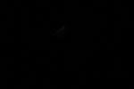 thumbnail image of ART002-E-11108