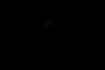 thumbnail image of ART002-E-11113