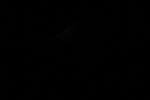 thumbnail image of ART002-E-11143