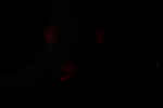 thumbnail image of ART002-E-11592
