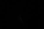 thumbnail image of ART002-E-11684