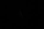 thumbnail image of ART002-E-11727