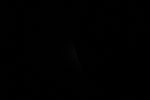 thumbnail image of ART002-E-11733