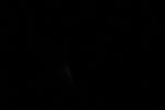 thumbnail image of ART002-E-11742