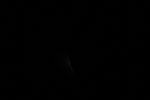thumbnail image of ART002-E-11748