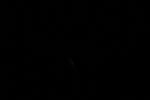 thumbnail image of ART002-E-11785