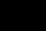 thumbnail image of ART002-E-15437