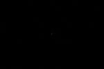 thumbnail image of ART002-E-15501