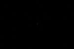thumbnail image of ART002-E-15536