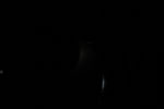 thumbnail image of ART002-E-15809