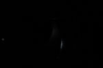 thumbnail image of ART002-E-15814
