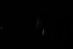 thumbnail image of ART002-E-15819