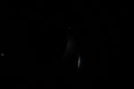 thumbnail image of ART002-E-15824