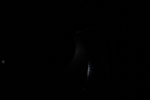 thumbnail image of ART002-E-15829