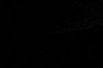 thumbnail image of ART002-E-20909