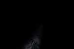 thumbnail image of ART002-E-23352