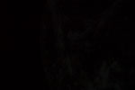 thumbnail image of ART002-E-23723