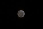thumbnail image of ART002-E-23919