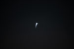 thumbnail image of ART002-E-24879