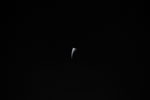 thumbnail image of ART002-E-24885