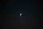 thumbnail image of ART002-E-24889