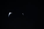 thumbnail image of ART002-E-24930